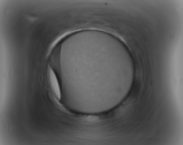 X0000085321503200703302033