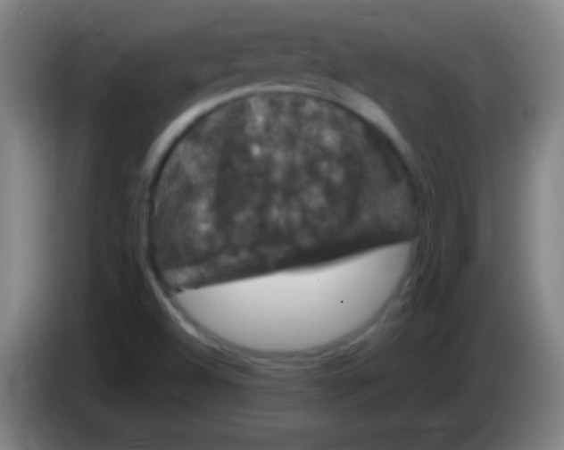 X0000085321504200703302033