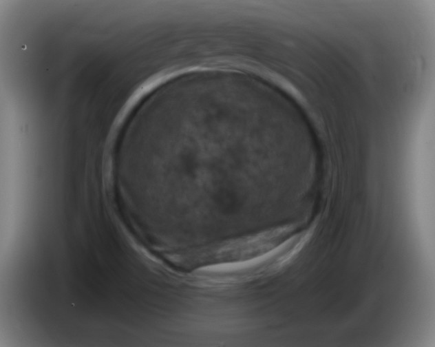 X0000085321506200703302033