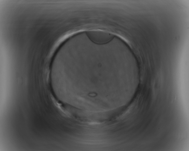 X0000085321507200703302033