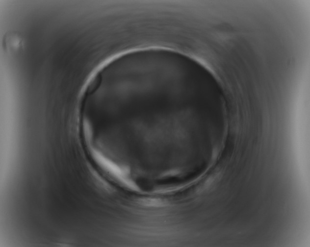 X0000085321508200703302033