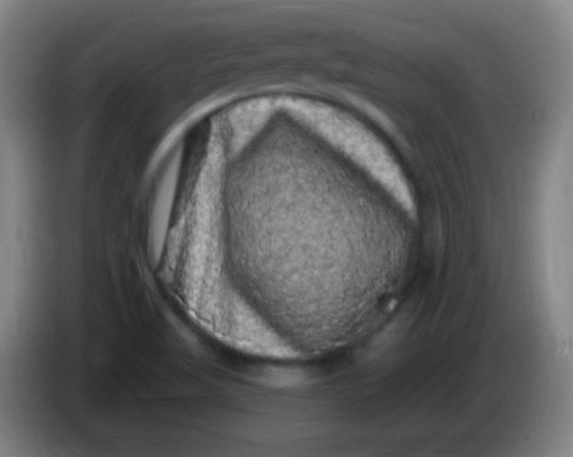 X0000085321509200703302033