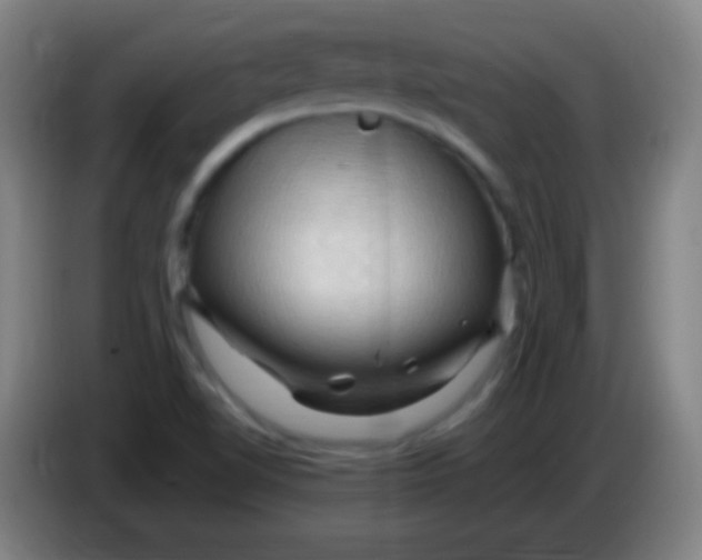 X0000085321510200703302033