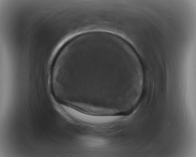 X0000085321511200703302033