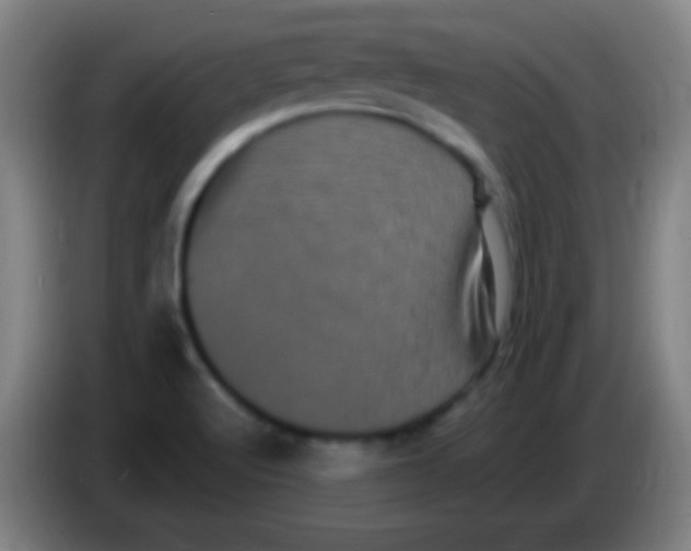 X0000085321512200703302033