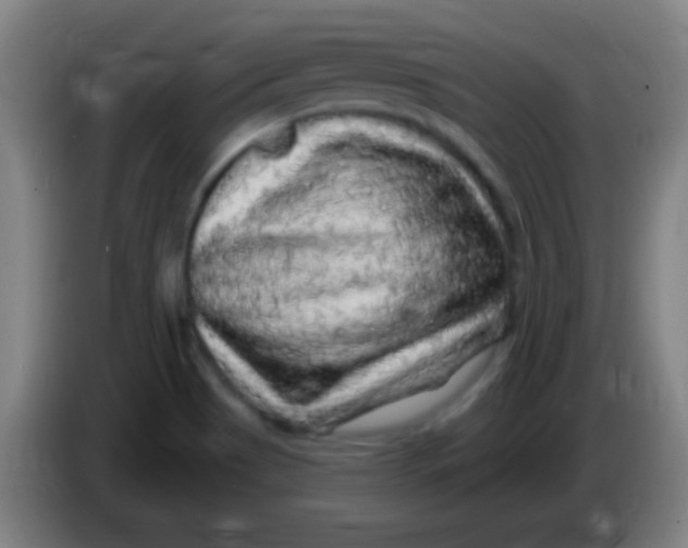 X0000085321513200703302033
