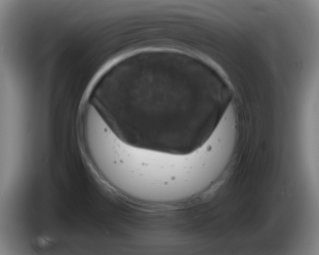 X0000085321514200703302033