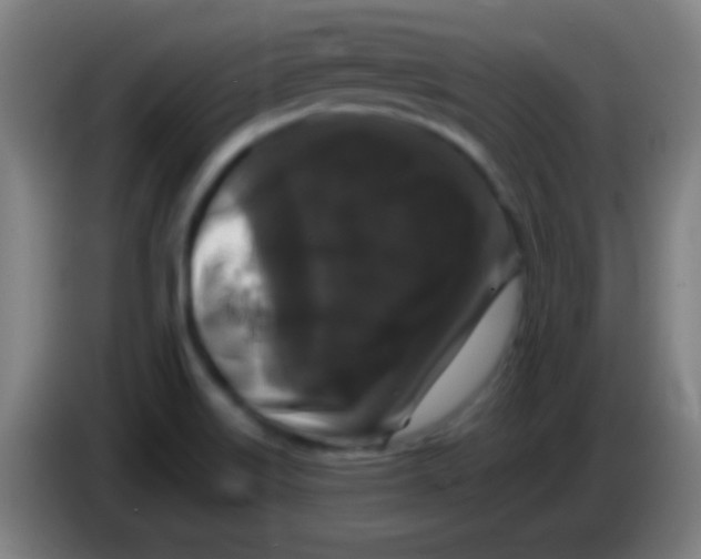 X0000085321515200703302033