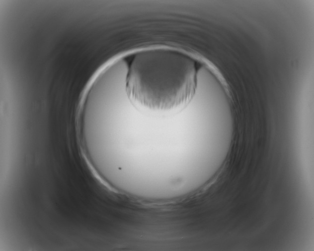 X0000085321516200703302033
