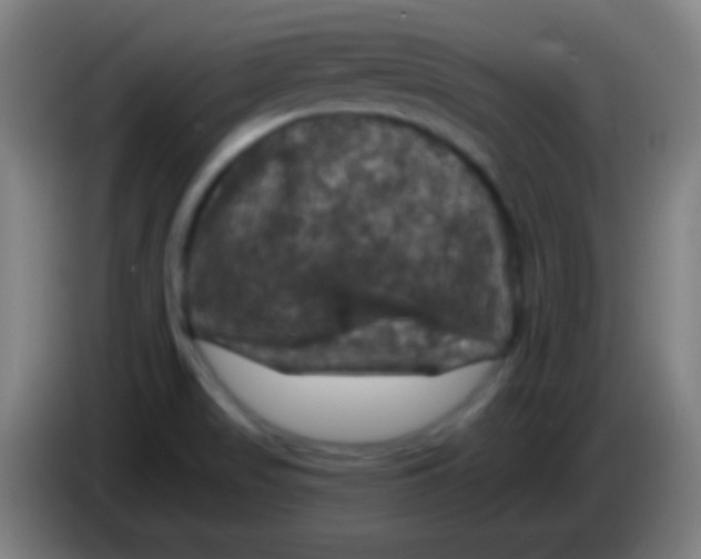X0000085321517200703302033