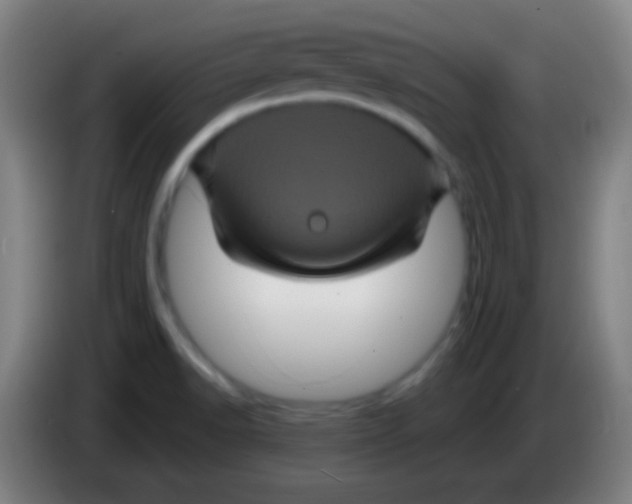 X0000085321518200703302033