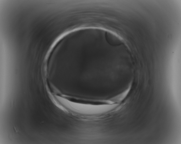 X0000085321519200703302033