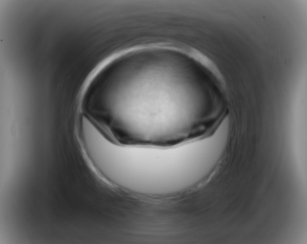 X0000085321520200703302033