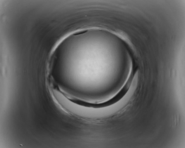 X0000085321524200703302033