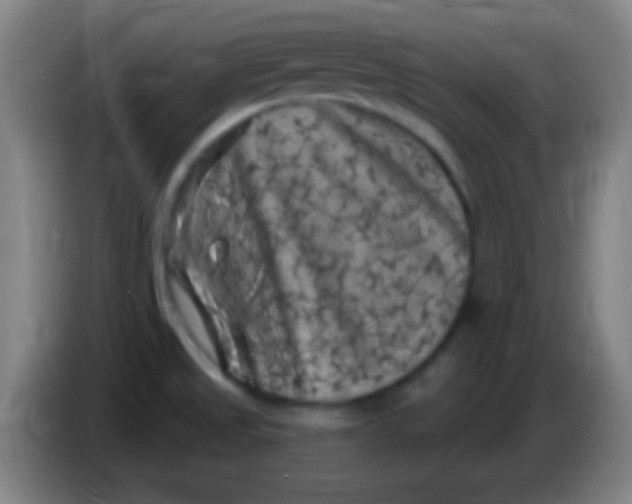 X0000085321525200703302033