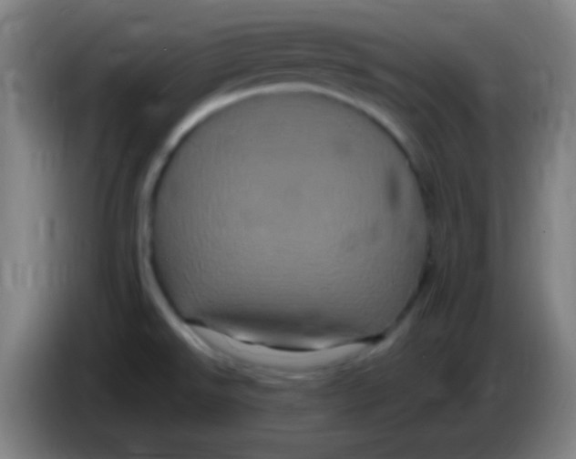 X0000085321526200703302033