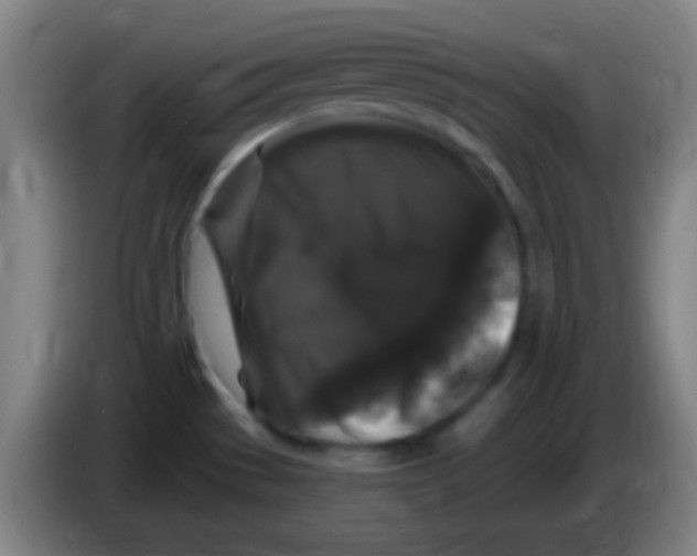X0000085321529200703302033