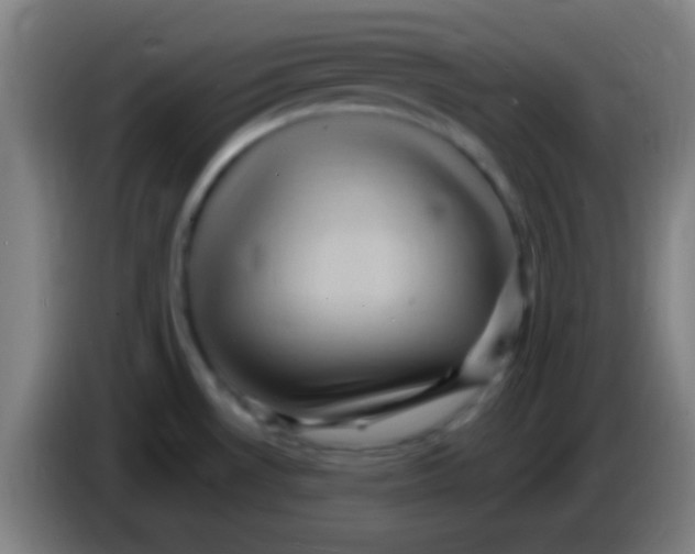 X0000085321530200703302033