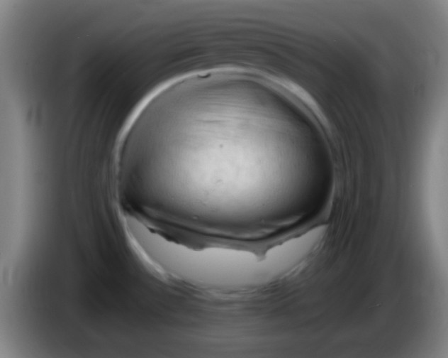 X0000085321532200703302033