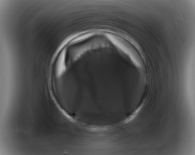 X0000085321533200703302033