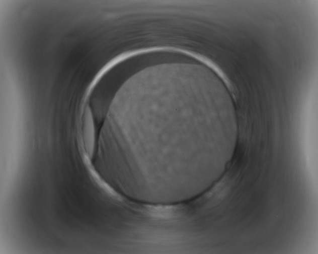 X0000085321534200703302033