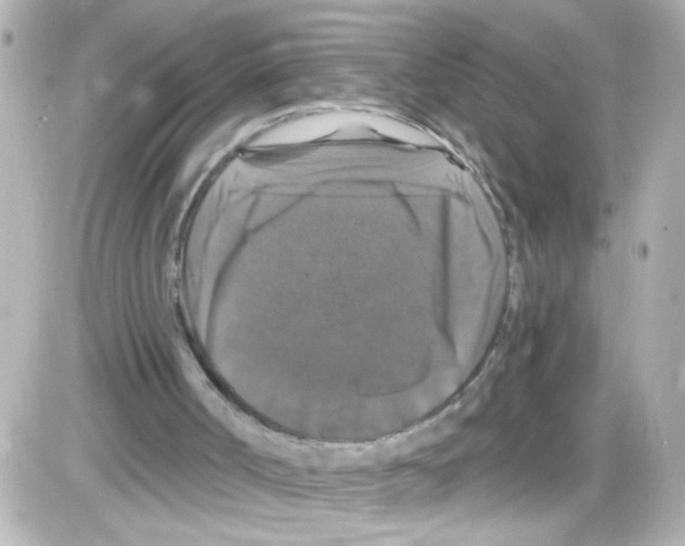 X0000085320002200704100000