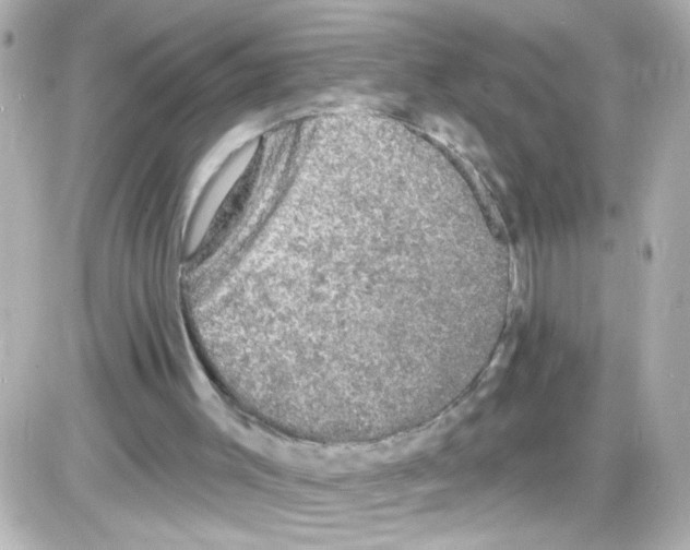 X0000085320003200704100000