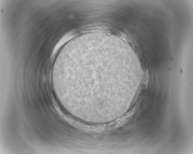 X0000085320004200704100000