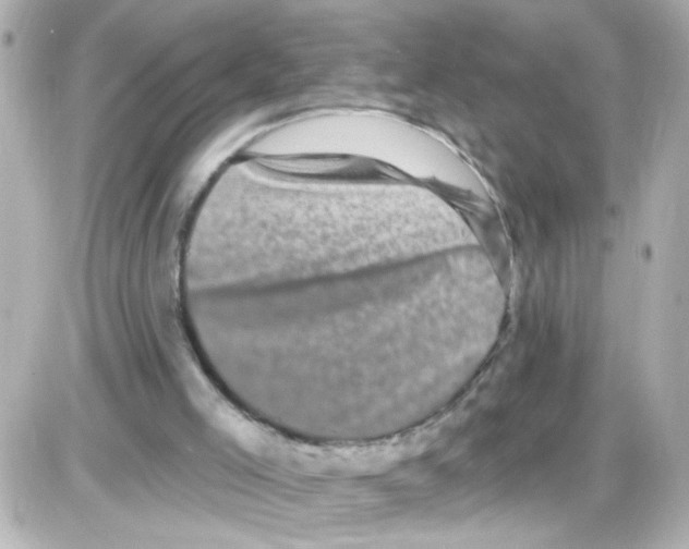 X0000085320005200704100000