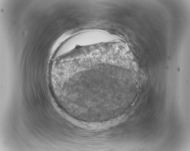 X0000085320006200704100000