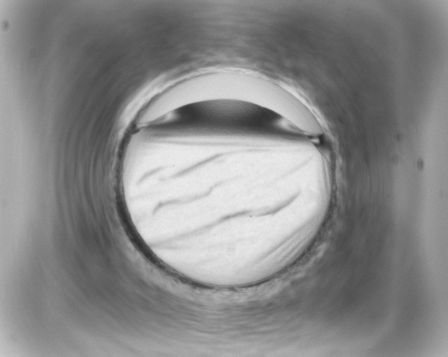 X0000085320007200704100000