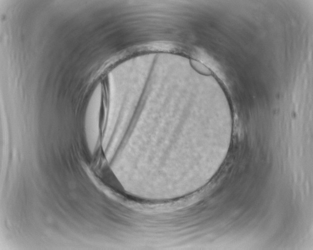 X0000085320013200704100000