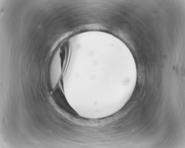 X0000085320015200704100000