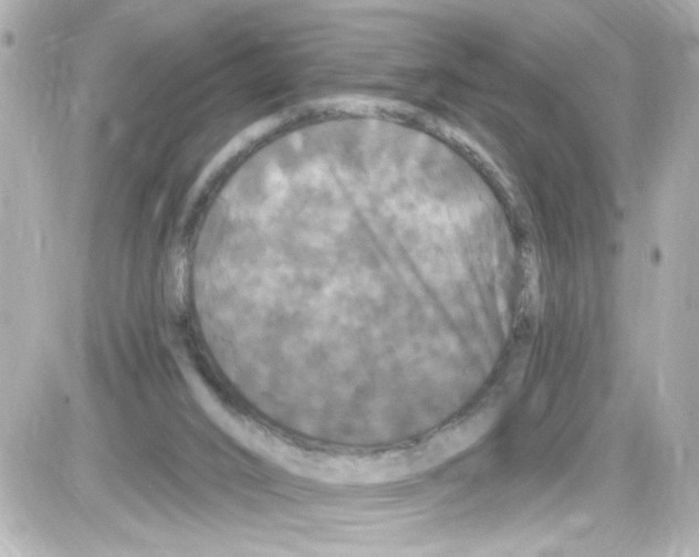 X0000085320016200704100000