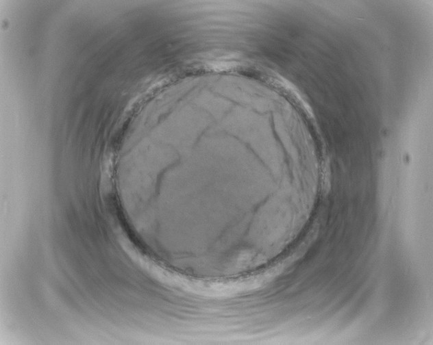 X0000085320018200704100000