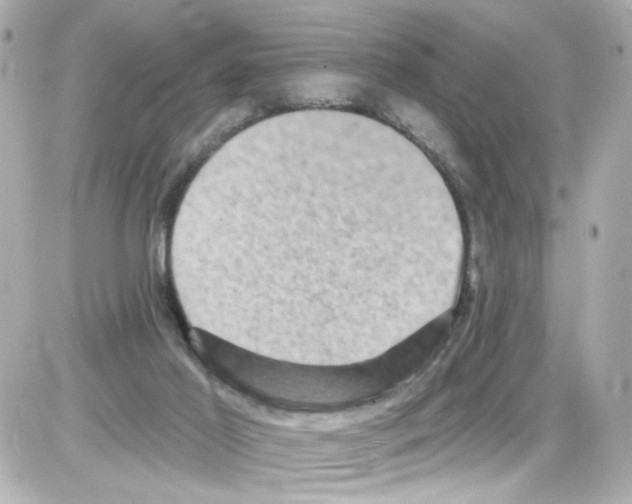 X0000085320021200704100000
