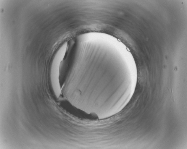 X0000085320023200704100000
