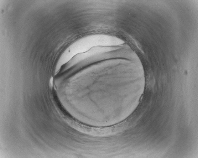 X0000085320027200704100000