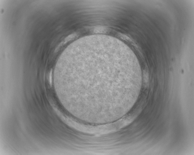 X0000085320028200704100000