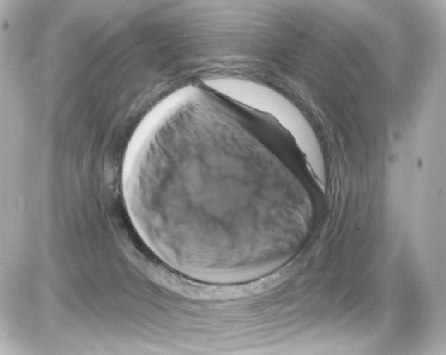 X0000085320031200704100000