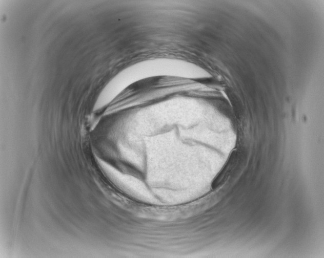 X0000085320033200704100000