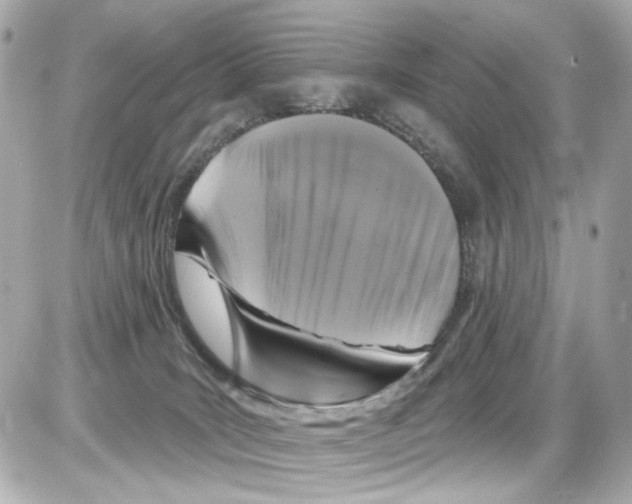 X0000085320035200704100000