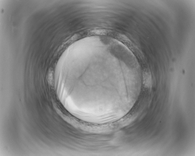 X0000085320036200704100000