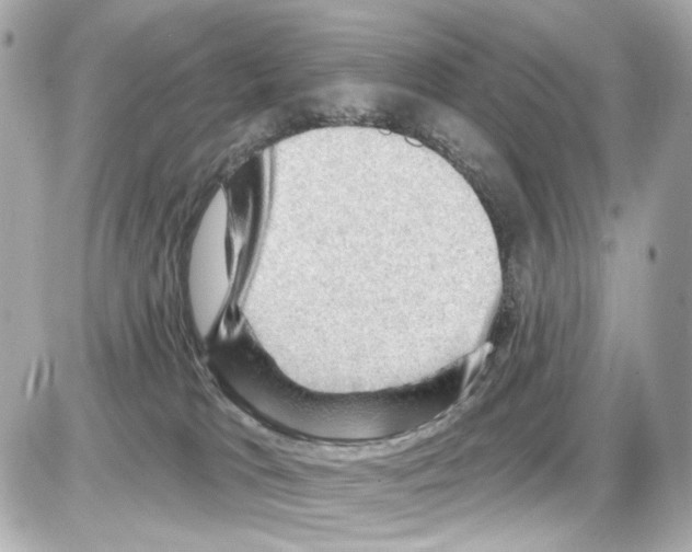 X0000085320037200704100000