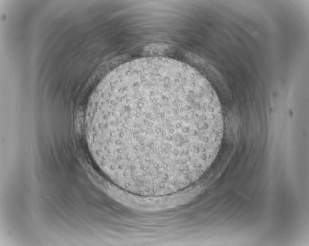 X0000085320038200704100000