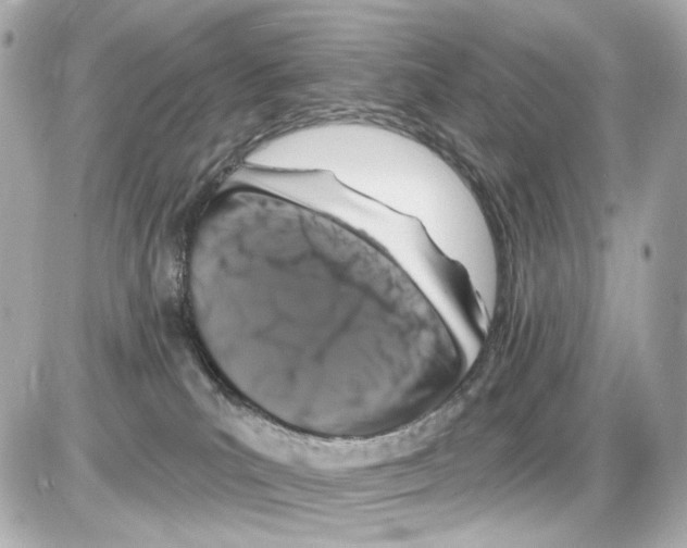X0000085320039200704100000