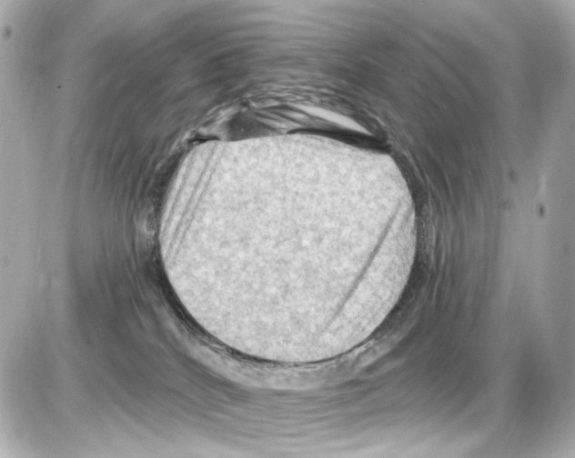 X0000085320040200704100000