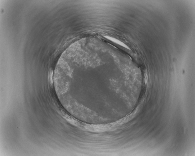 X0000085320041200704100000