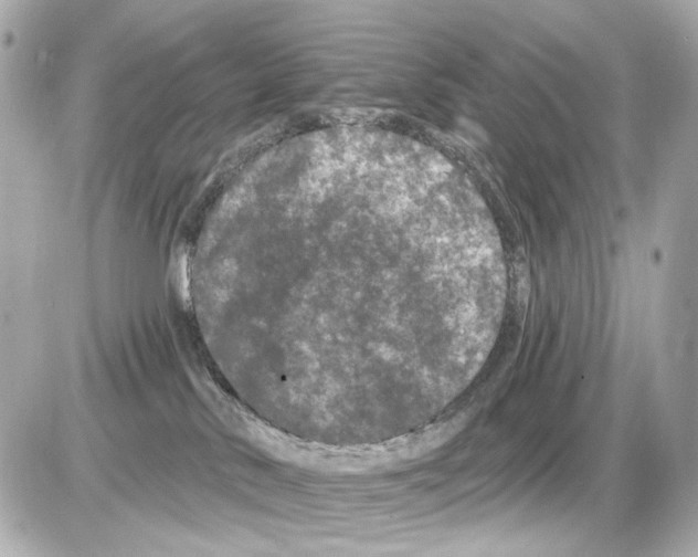 X0000085320042200704100000