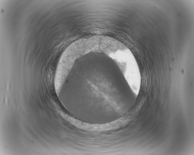 X0000085320043200704100000